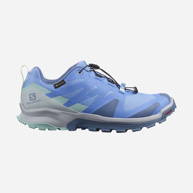 Salomon Trail Løbesko Dame Blå - XA ROGG GTX W (ETNDU-8069)